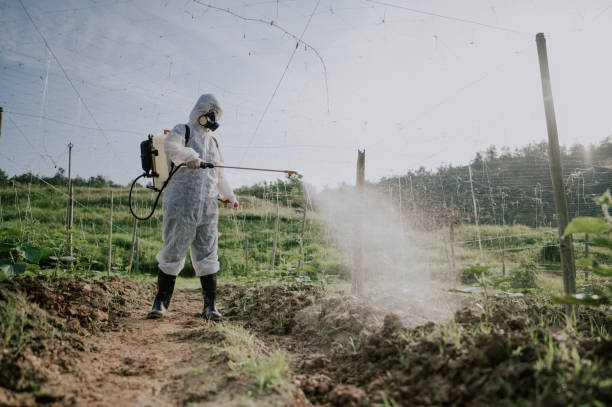 Best Affordable Pest Control Services  in Marillo, CA