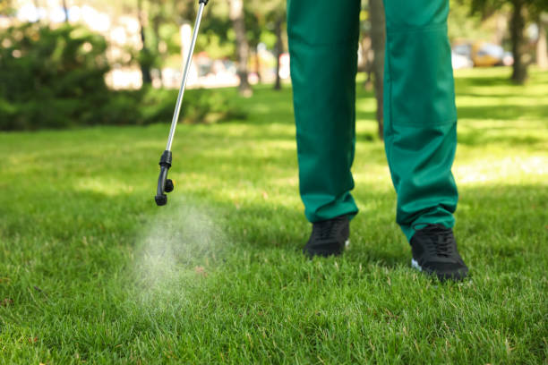 Best Pest Control Near Me  in Marillo, CA