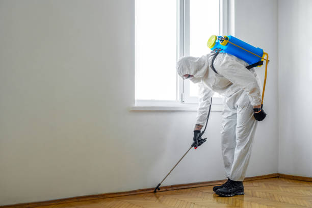 Best Cockroach Control Services  in Marillo, CA