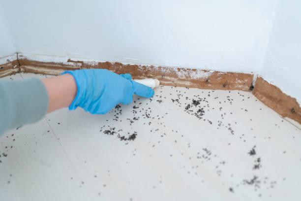 Best Exterminator Services  in Marillo, CA