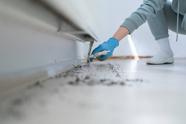 Pest Control for Restaurants in Camarillo, CA