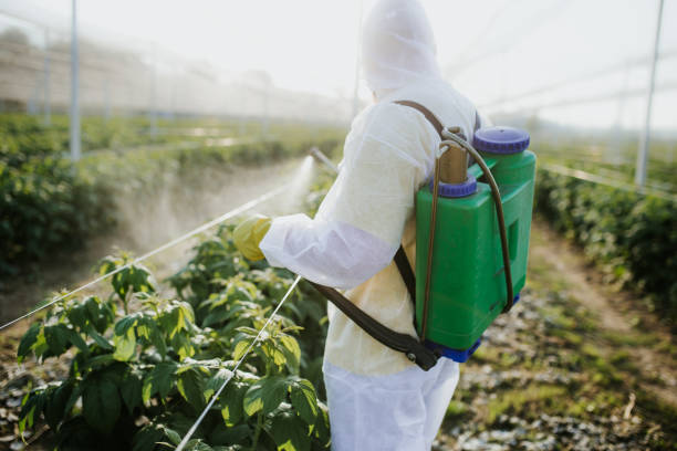 Camarillo, CA Pest Control Company